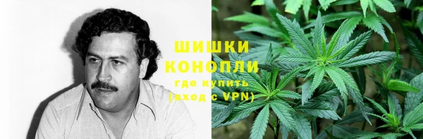 дмт Аркадак