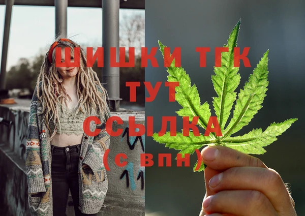 дмт Аркадак