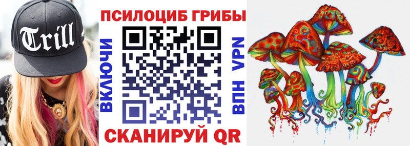 omg   Сибай  площадка состав  Галлюциногенные грибы мицелий 